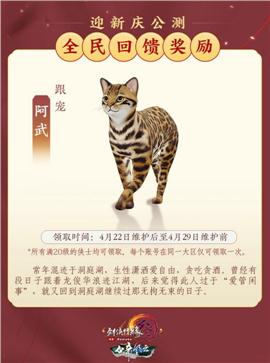 菜刀天龙八部私服